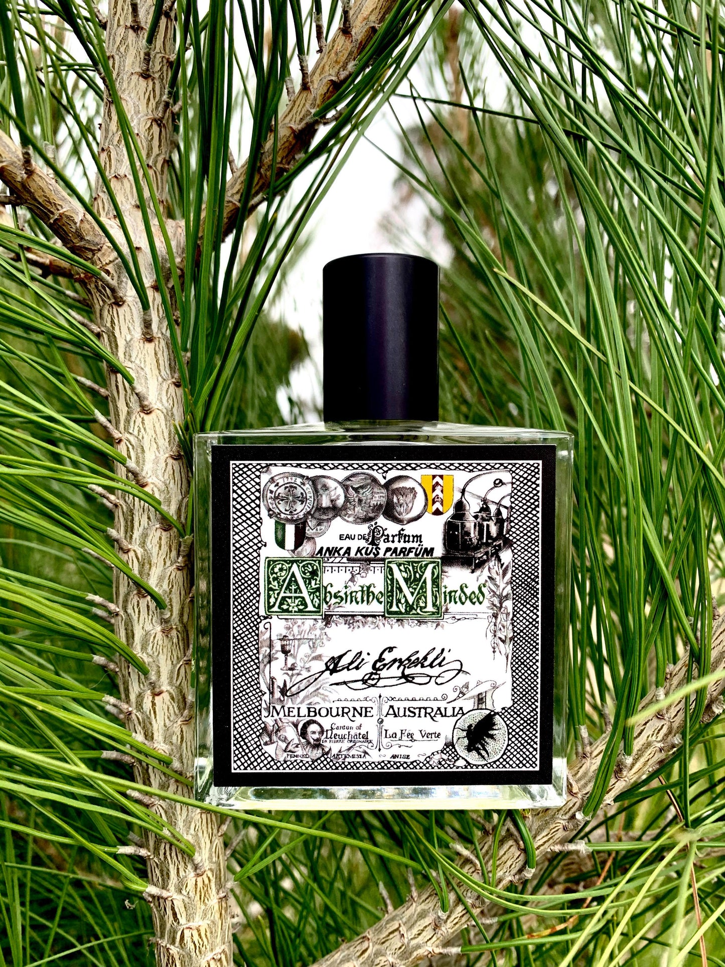 ABSINTHE-MINDED - EdP - Vol.1